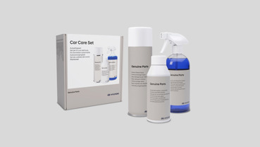 Bilplejesæt