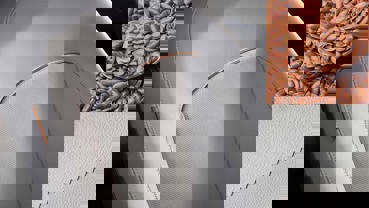 Læderfarvning med hørfrøolie