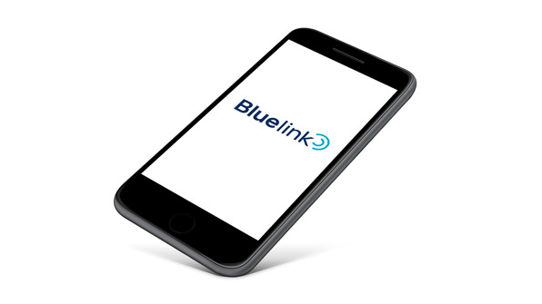 Bluelink®