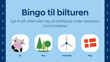 Hyundai bingoplade til køreturen