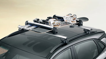 Ski- og snowboardholder 600