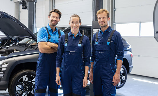 Vi kender din bil bedst