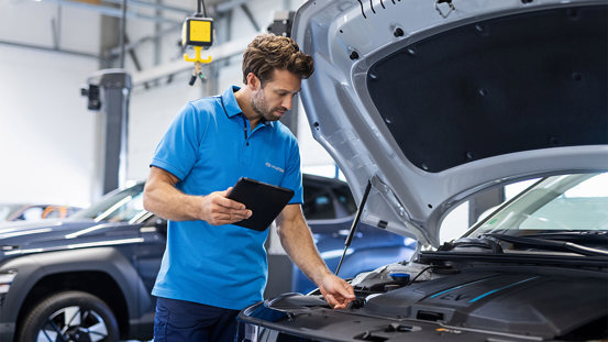 Service og vedligeholdelse