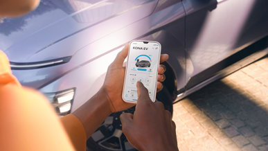 Bluelink PLUS*