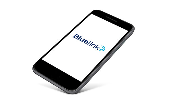 Bluelink®