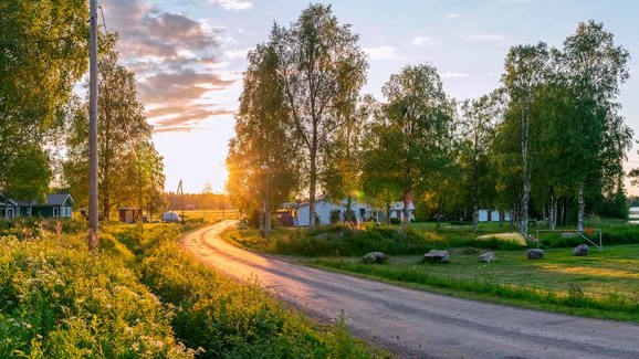 Grusvejs i sommerhusområde med solnedgangen forenden af vejen 