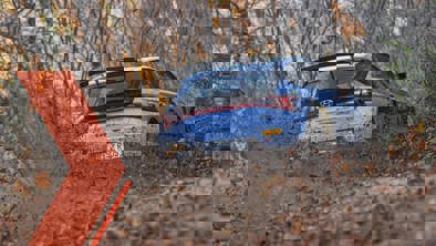 Hyundai motorsport N-model kørende i skov