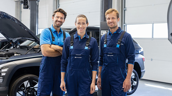 Service og vedligeholdelse