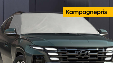 20% på is/solskærm