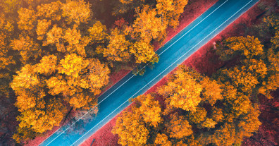 Gør din bil efterårsklar