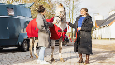 Mor og datter med hest 