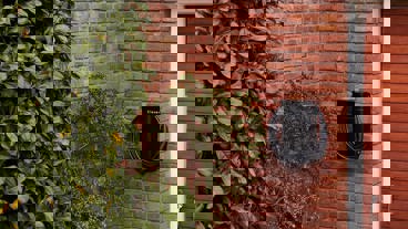 Abonnementer fra Clever