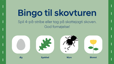 Hyundai bingoplade til skovturen