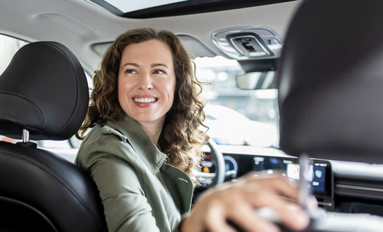 Hvilken bil vil du erhvervslease?