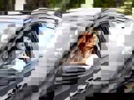 Plads til det hele med BAYON