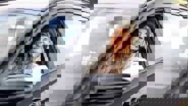 Plads til det hele med BAYON