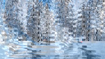 Nye lovkrav mod åbenlyst uegnede dæk