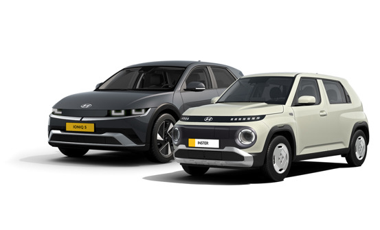 Skal du vælge gule plader eller papegøje&shy;plader?