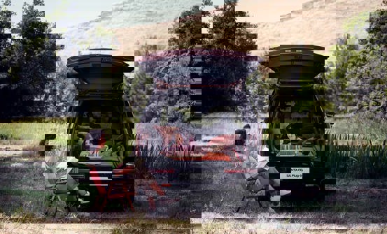 Hvor stor skal din familiebil være?