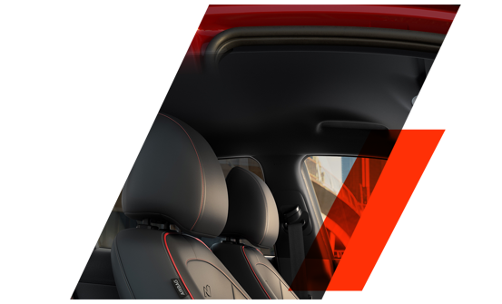 Sort loftbeklædning