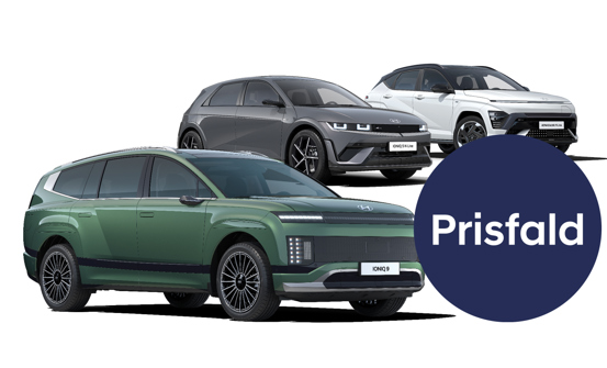 Prisfald på vores populære elbiler 