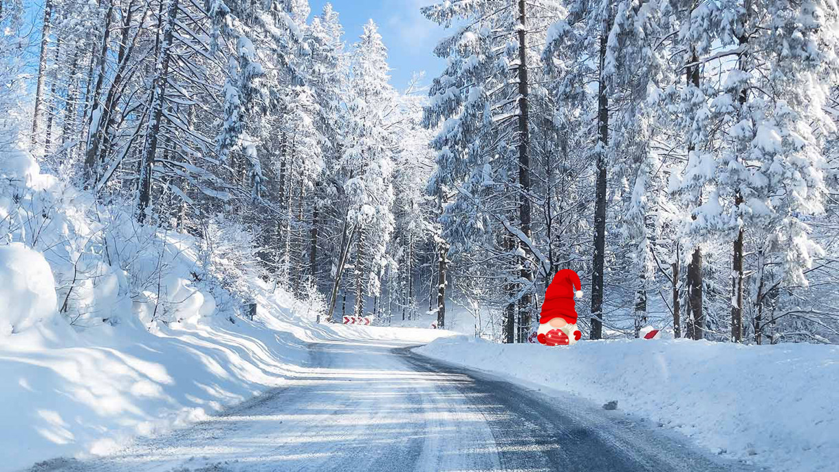 Vej der kører igennem et vinterlandskab